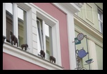 Maribor -24-10-2013 - Bogdan Balaban